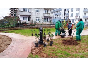 Alikahya’da Park Açılışı Var