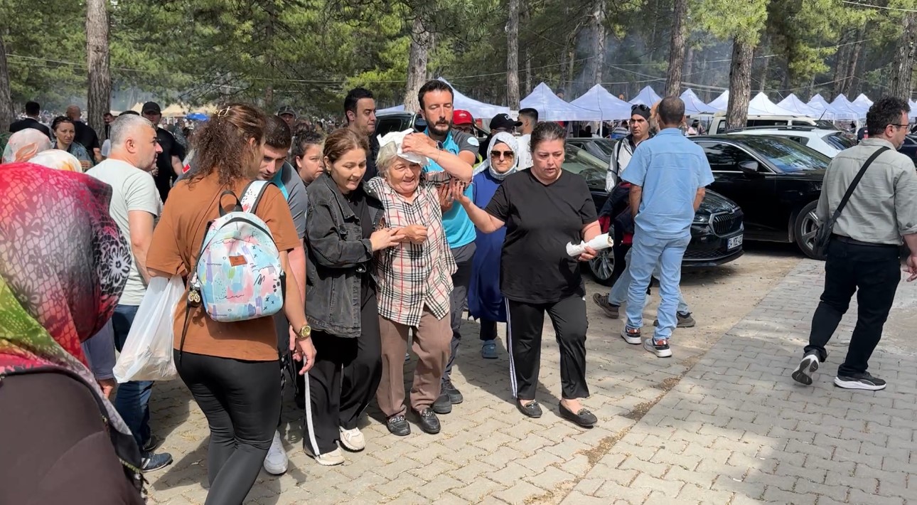 senlikte-agactan-dusen-dal-yasli-kadini-yaraladi
