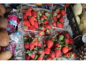 Anamur Çileği Kilosu 13 Liradan Satılıyor