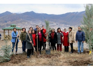 Hakkari’deki Bereket Ormanlarına Fidan Dikildi