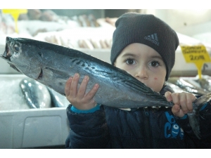 Kahramanmaraş’ta Balık Fiyatları Tavan Yaptı