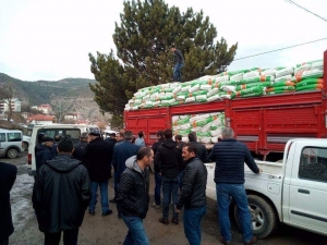 Ordu’da Çiftçilere Yem Bitkisi Tohumu Dağıtıldı