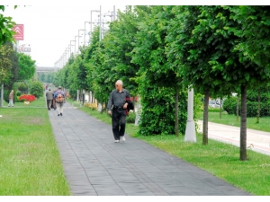 Yürüyüş Yolları Sağlıklı Kalmaya Yardımcı Oluyor