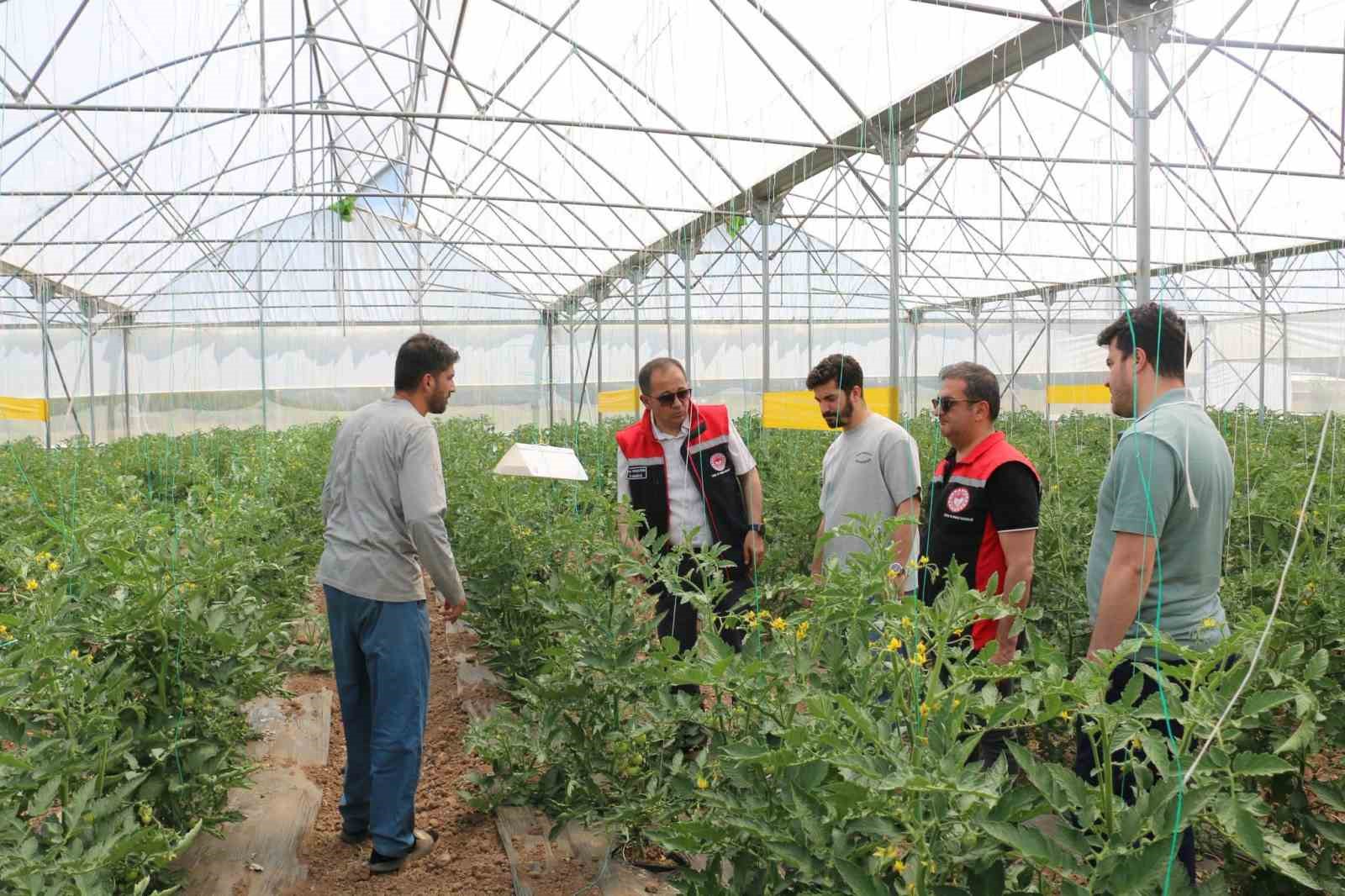erzincan-da-seracilik-faaliyetleri-yerinde-incelendi