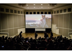 İstanbul Kedileri Rus Sinemalarında