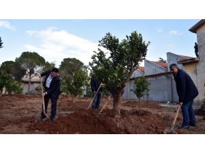 Dokuma Parkına Portakal Bahçesi
