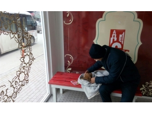 6k Akıllı Durakların Yeni Misafiri Minik Köpek Oldu