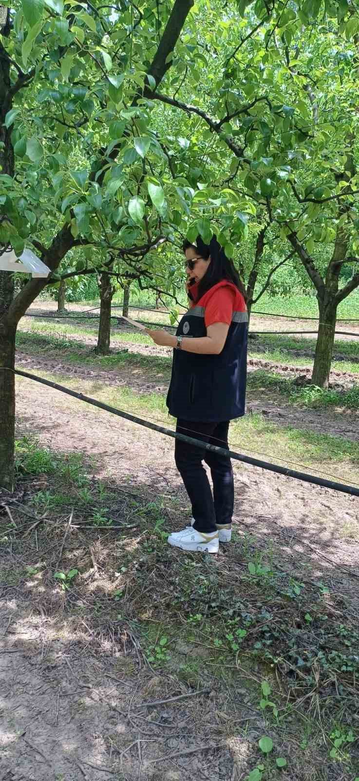 carsamba-da-findik-ureticilerine-kokarca-ve-kulleme-uyarisi