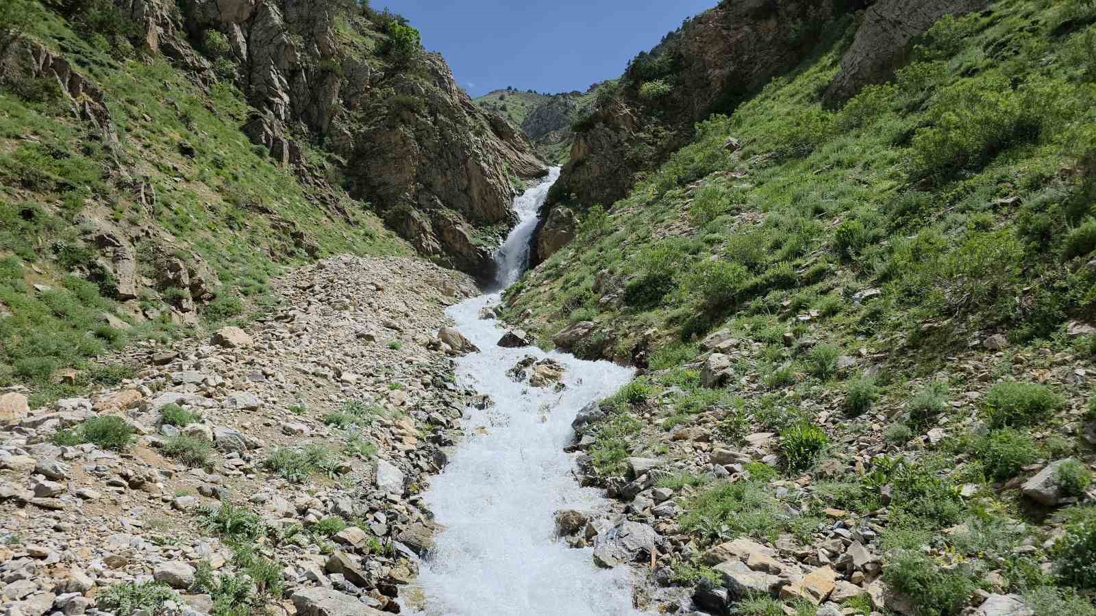 20-yil-sonra-yeniden-hayat-buldu-catak-ta-kuruyan-su-kaynagi-akmaya-basladi