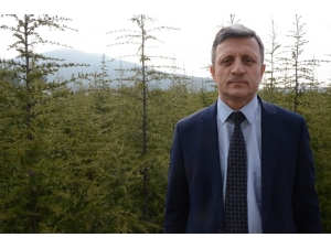 Yılbaşı Öncesi Cam Ağacı Uyarısı