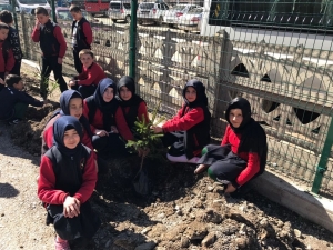 Ordu’da Sosyal Maksatlı Ağaçlandırmada 2 Bin Fidan Dikildi