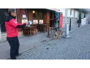 Kayıpları ’Keş’ Bulacak