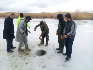 Van’da ‘Eskimo’ Usulü Balık Avı