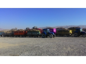 Şeker-iş Bor Şube Başkanı Celal Tuğrul:‘şeker Kurumunun Kapatılması Tadımızı Kaçırdı’