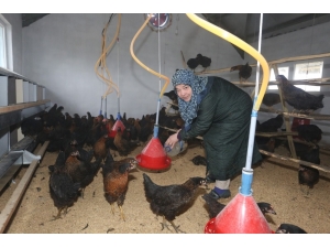 İlknur Teyze Hayalini Kurduğu İşine Kavuştu