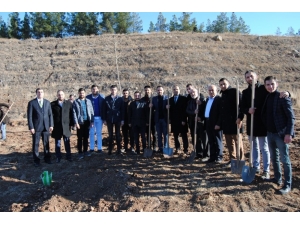 Nihat Çiftçi Ak Parti Teşkilatıyla Birlikte Ağaç Dikti