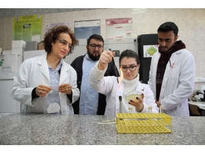 Bakterilerle Doğayı Koruyacaklar