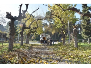 Salihli’de Parklara Kışlık Bakım