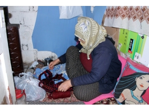 Yaşlı Kadın 2 Metrekarelik Odunlukta Yaşam Savaşı Veriyor