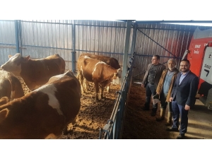 Projenin Son Etap Düveleri Dağıtıldı