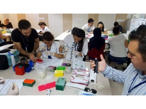 Koçarlı Milli Eğitim Müdürlüğü Tübitak Projelerinde 11’de 11 Yaptı