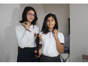 Altın Kalpli Kızlar