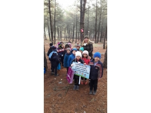 Kuşlar İçin Ağaç Dallarına Yem Astılar