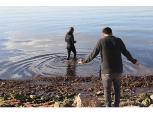 Kaçak Midye Avcıları Ceza Yememek İçin Denize Kaçtı