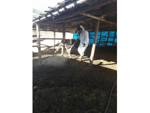 Manisa’da Küçük Baş Hayvan Barınaklarına İlaçlama