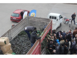 Kilis’te ’Yıl Başında Ağaç Kesme Fidan Dik’ Kampanyası