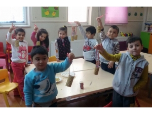 Minik Öğrencilerden Kuşlara Yemlik