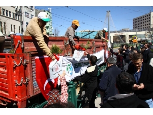 Orman Bölge Müdürlüğü’nden Anlamlı Fidan Dağıtımı