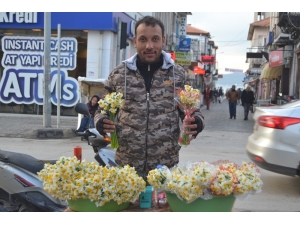 Ayvalık’ta Nergis Kokusu Yürekleri Isıtıyor
