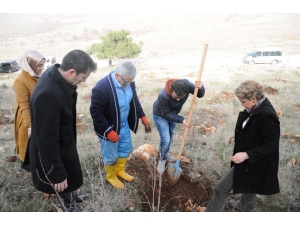 Önce Cezaevlerini Denetliyor Sonra Da Ağaç Dikiyor