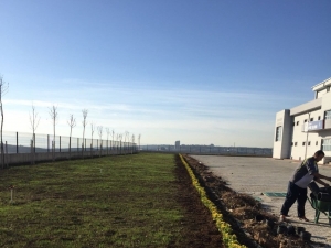 Dilovası Belediyesi’nden Peyzaj Düzenlemesi