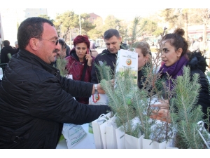 Elazığ’da ’Ağaç Kesme Fidan Dik’ Kampanyası
