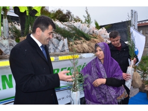 Balıkesir Orman Bölge Müdürlüğü Ücretsiz Fidan Dağıttı