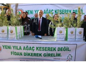 Yeni Yıl Öncesi Ücretsiz Çam Fidanı Dağıtıldı