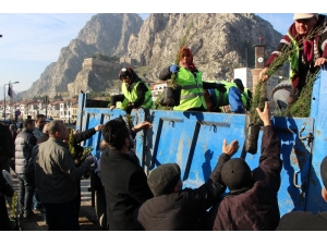 Sanki Ağaç Bayramı