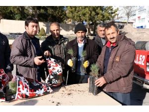 Yozgat’ta Yılbaşı Öncesi Bin Fidan Dağıtıldı