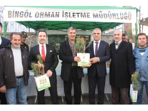 Bingöl’de ‘Ağaç Kesme, Fidan Dik’ Kampanyası