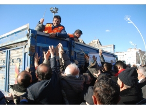 ’Yılbaşında Çam Kesme Fidan Dik’ Kampanyasına Yoğun İlgi