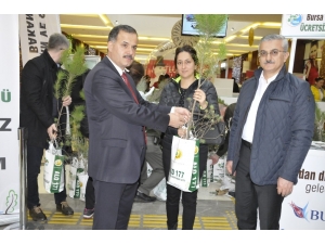 Yılbaşında Ağaç Kesmeyip Fidan Dikecekler