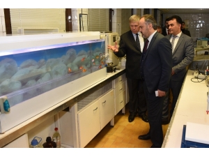 Bursalılar Artık Kuyu Suyu Yerine Baraj Suyu İçiyor