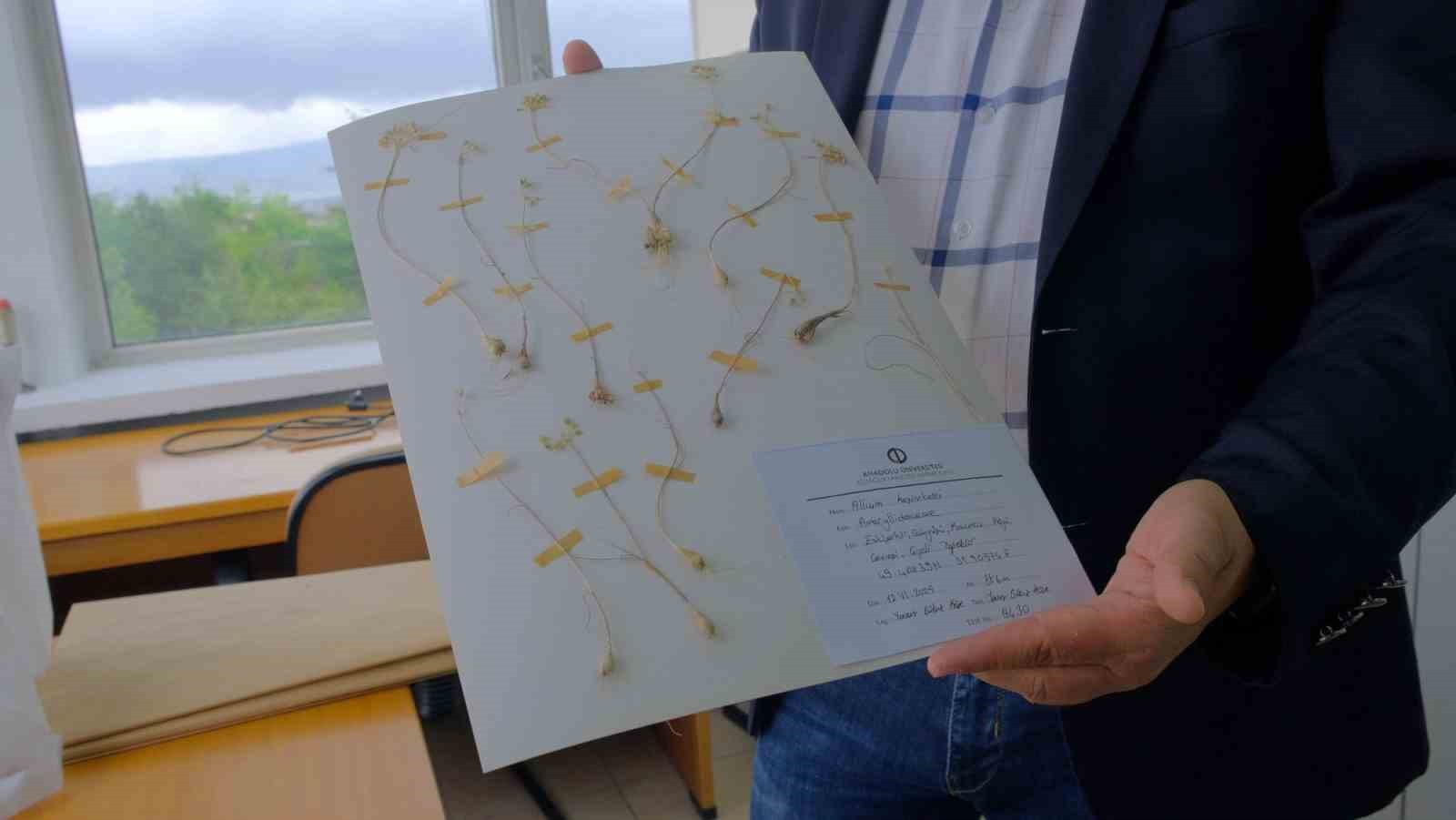 anadolu-universitesi-nden-dunya-literaturune-iki-yeni-endemik-tur