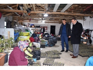 Bigadiç Çiçeklerle Donanacak