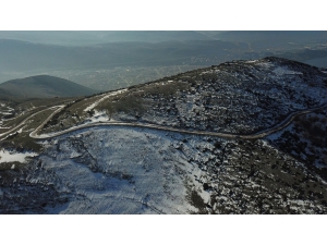 Gemlik’e Yeni Orman