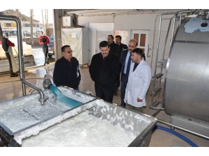 Vali Arslantaş, Erzincan Süt Toplama Soğutma Ve Süt Analiz Merkezi’ni İnceledi