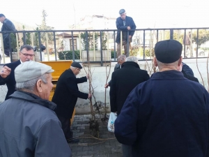 Vezirhan Belediyesi Tarafından Ücretsiz Hurma Dağıtıldı