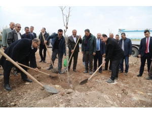 Çiftçi Muhtarlarla Birlikte Ağaç Dikti